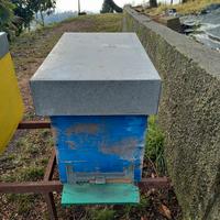 PORTASCIAMI MELARI ARNIE 