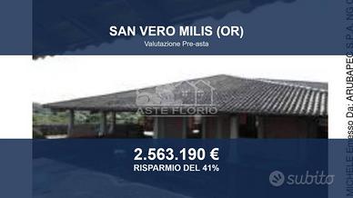 Immobile in asta di 9079 m² a San Vero Milis