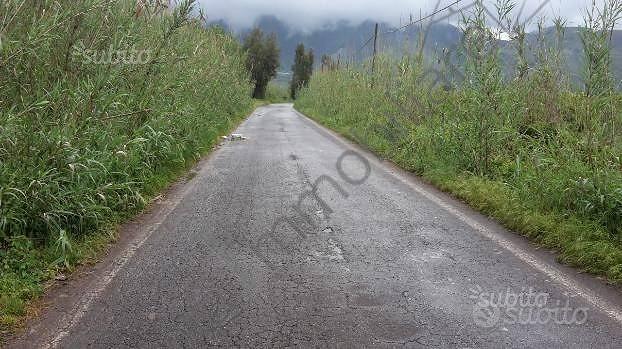 Terreno di 6666 m² a Cellole - Altro