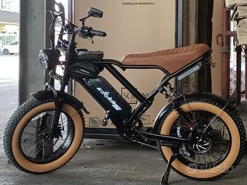 bicicletta elettrica con pedalata assistita 