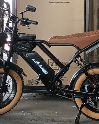 bicicletta elettrica con pedalata assistita 