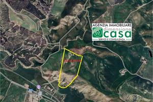 Rif.TA70-Terreno agricolo Caltanissetta