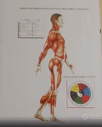 Stampa dei meridiani cinesi, su stampa a colori