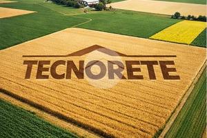 TER. AGRICOLO A SAONARA