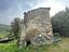 Immagine 7