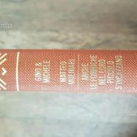 Anche le formiche nel loro piccolo si incazzano