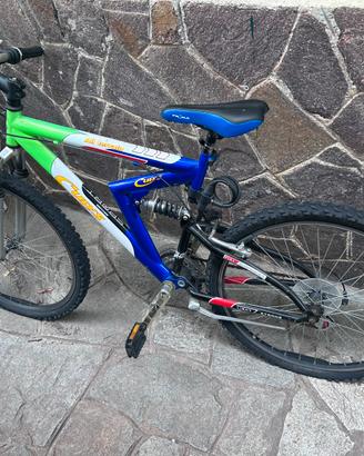 Bicicletta