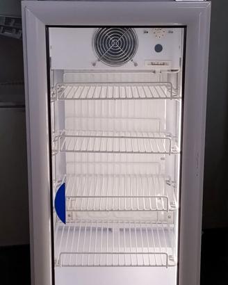 Mini Frigo Vetrina