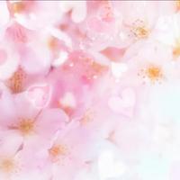 Estetista Specializzata