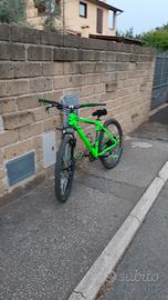mountain bike/wheelie bike