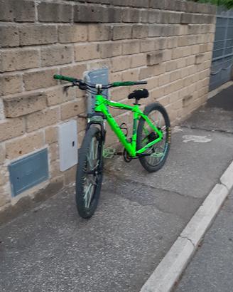 mountain bike/wheelie bike