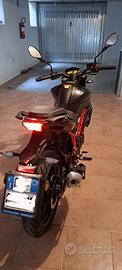 Benelli BN 125 - 2023