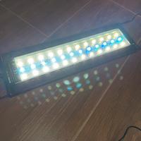 Lampada acquario LED Nicrew C10 24/7