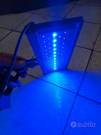 Lampada acquario