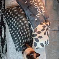 Tris di cuscini per divano 