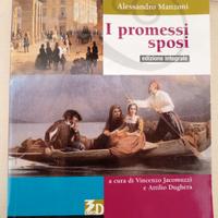 Libro “I promessi sposi” 