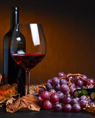 vino sfuso € 2,20 al litro