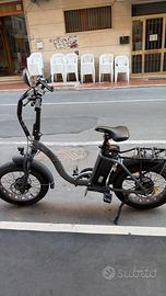 Bici elettrica MIELE Fat 48v ZR