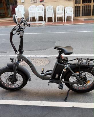 Bici elettrica MIELE Fat 48v ZR