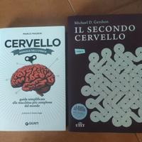 Cervello: manuale dell'utente. Il secondo cervello