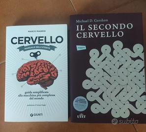 Cervello: manuale dell'utente. Il secondo cervello