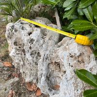 Roccie e ciottoli da giardino