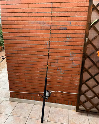 Canna e mulinello