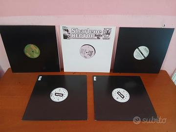 Lotto 10 Vinili House - Deep House 2004-2025
