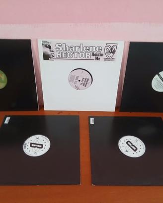 Lotto 10 Vinili House - Deep House 2004-2025