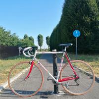 Bici da corsa e città Bottecchia 