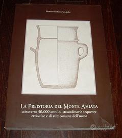 LA PREISTORIA DEL MONTE AMIATA BONAVENTURA CAPRIO
