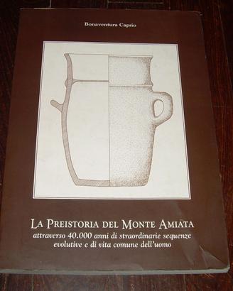 LA PREISTORIA DEL MONTE AMIATA BONAVENTURA CAPRIO
