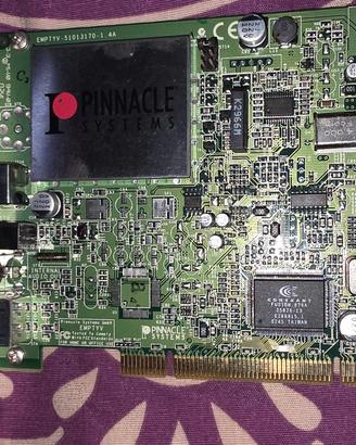 scheda TV pinnacle