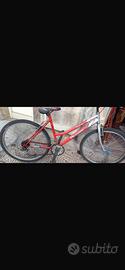 Bicicletta