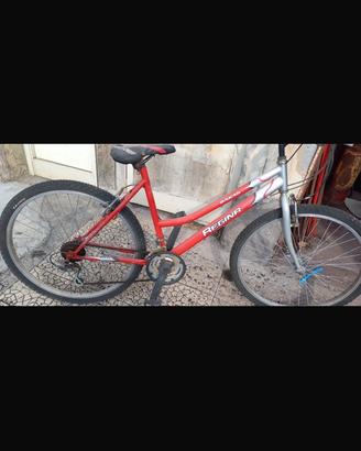 Bicicletta