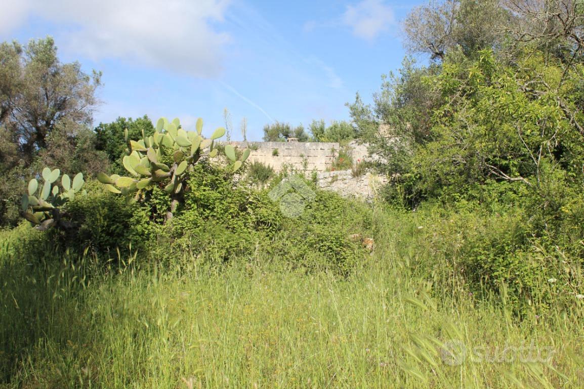 RUSTICO A CAROVIGNO - Vista 5