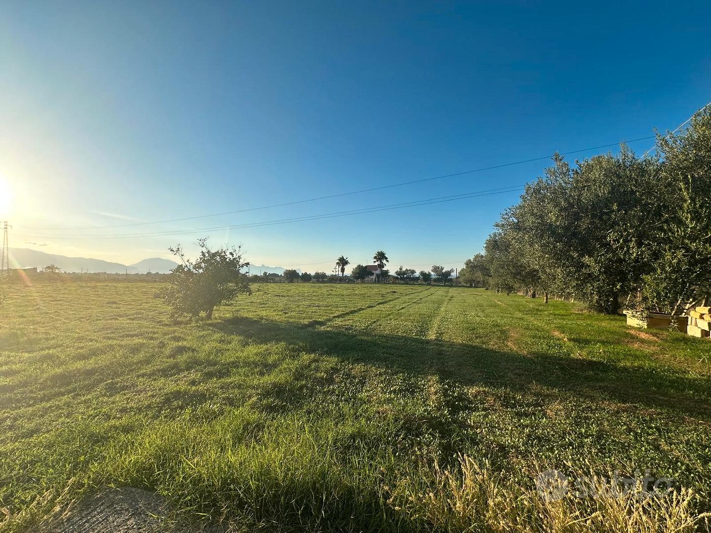 Terreno agricolo a Partinico - Altro