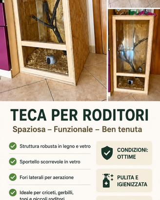 Teca legno
