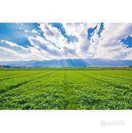 Terreno Edificabile a Gorizia