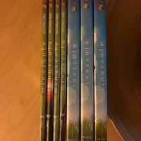 Dvd misti cartoni per bambini (foto parziali)