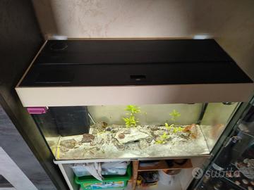 acquario juwel rio 120 led