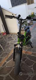 Bici elettrica 250w e-bike