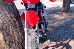 Beta rr50