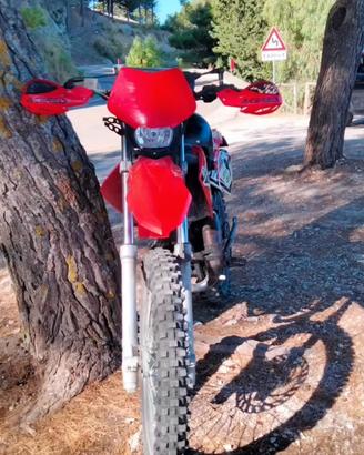 Beta rr50