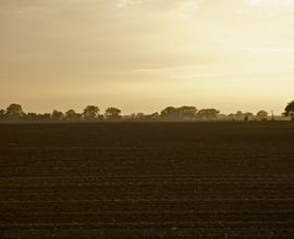 Rif.AG40E_11| terreno agricolo fonte