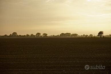Rif.AG40E_11| terreno agricolo fonte