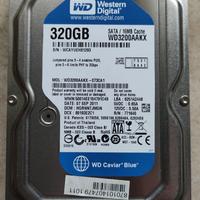 2 Hard disk WD Blue 320 GB SATA