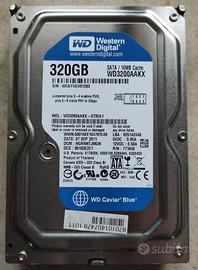 2 Hard disk WD Blue 320 GB SATA