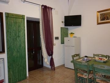 Monolocale arredato, sito in Ruggiano