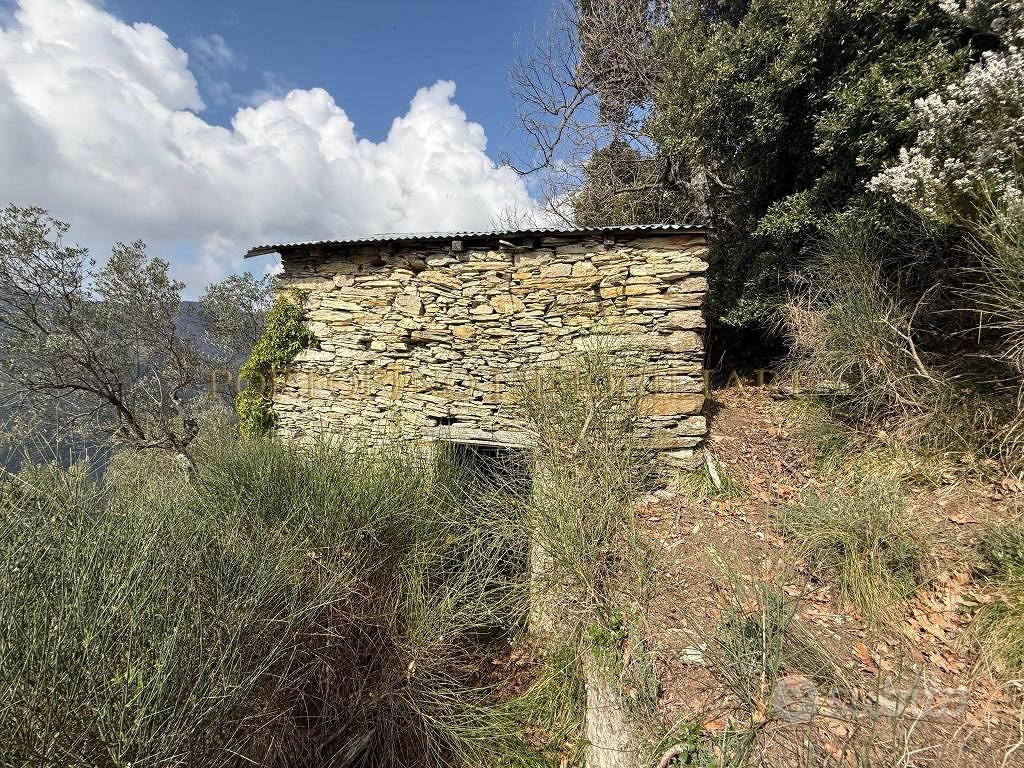 Rustico / Casale di 2225 m² con 2 locali a Avegno - Altro